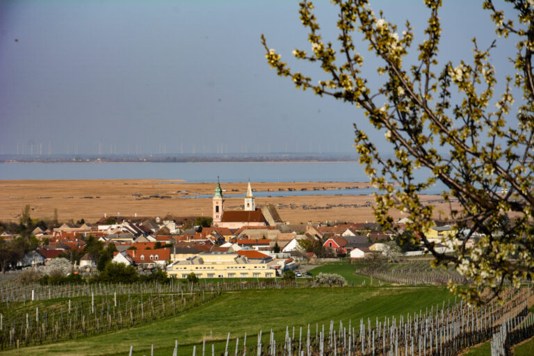 Panorama Rust Drescher Touristik (2)